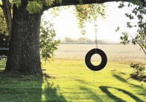 Tree on farm field and tire swing hanging of the branches