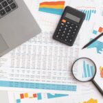 Various earned value management graphics and accounting tables and graphs.